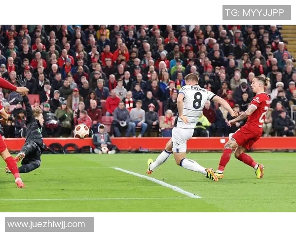 球星亲临助阵观看足球比赛现场感受精彩瞬间