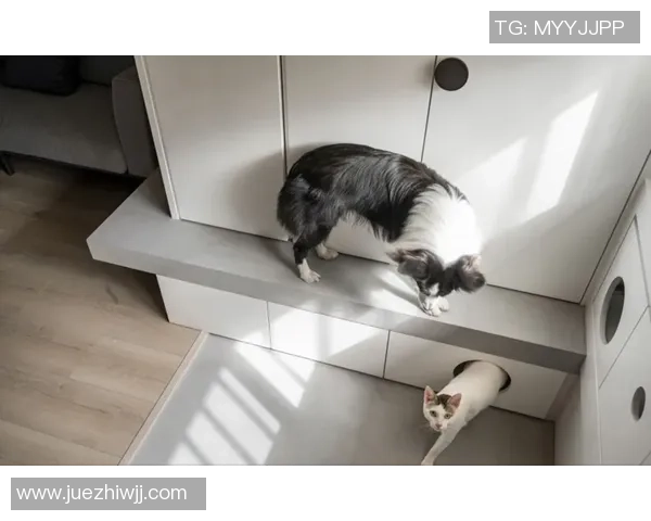 足球球星与可爱宠物同框合影展现温馨一幕 美女抱狗甜美瞬间吸引目光